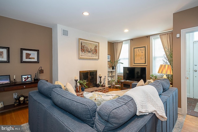 living room featuring hardwood / wood-style flooring, plenty of natural light, and a fireplace