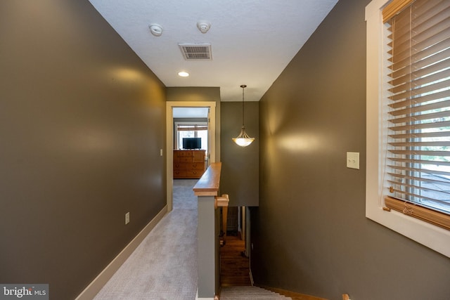 hall with carpet and a wealth of natural light