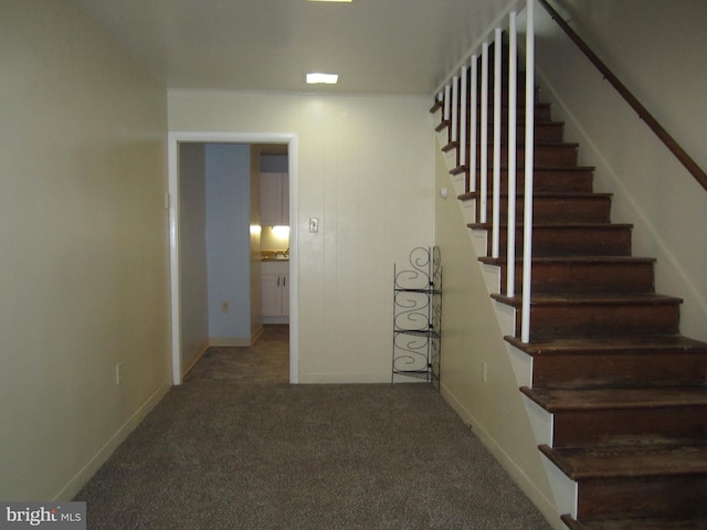 stairs featuring carpet floors