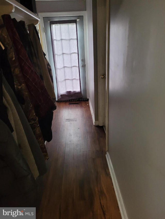 hall featuring dark hardwood / wood-style flooring and a healthy amount of sunlight