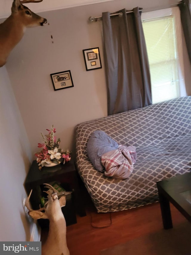 bedroom featuring wood-type flooring