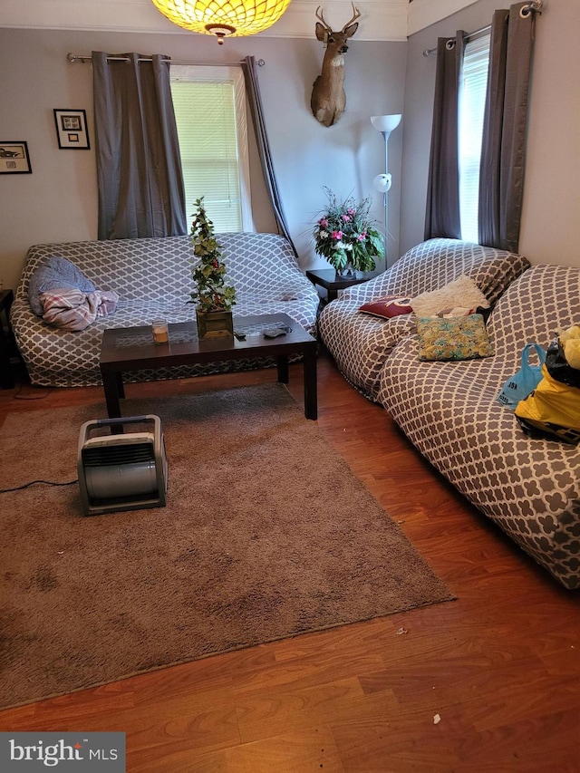 bedroom featuring hardwood / wood-style floors