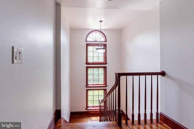 staircase with wood-type flooring