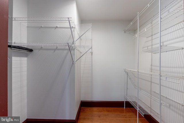 walk in closet with wood-type flooring