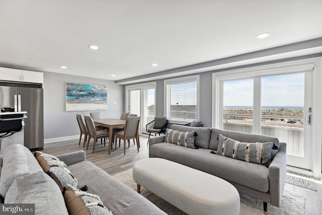 living room featuring light hardwood / wood-style flooring