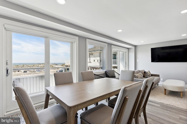 dining space with a wealth of natural light and light hardwood / wood-style flooring