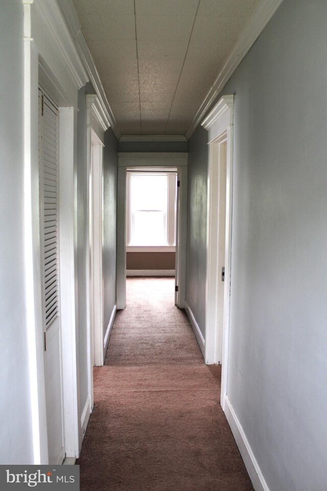 hallway featuring crown molding and carpet flooring