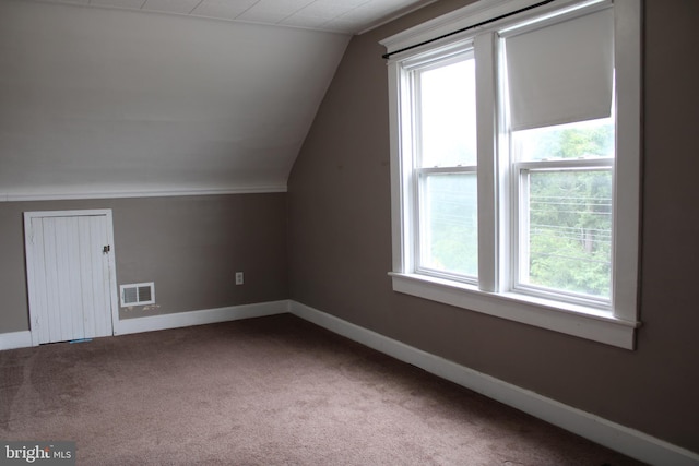 additional living space with lofted ceiling and carpet flooring