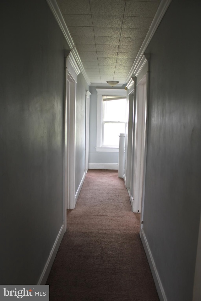 hall featuring crown molding and carpet flooring