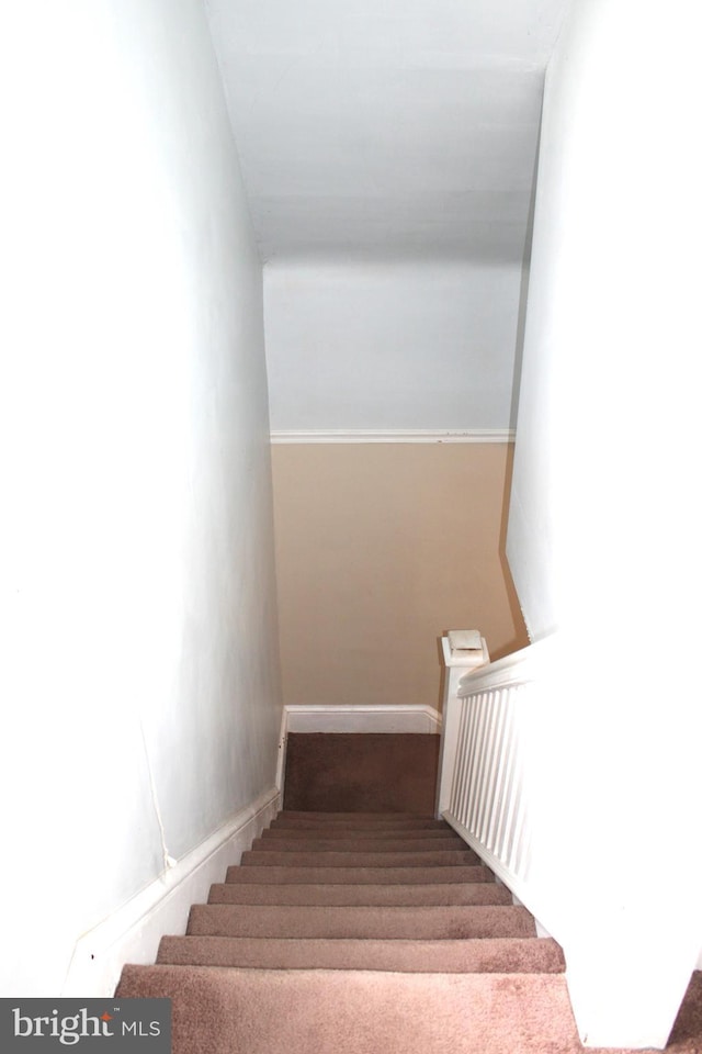 stairway featuring carpet flooring