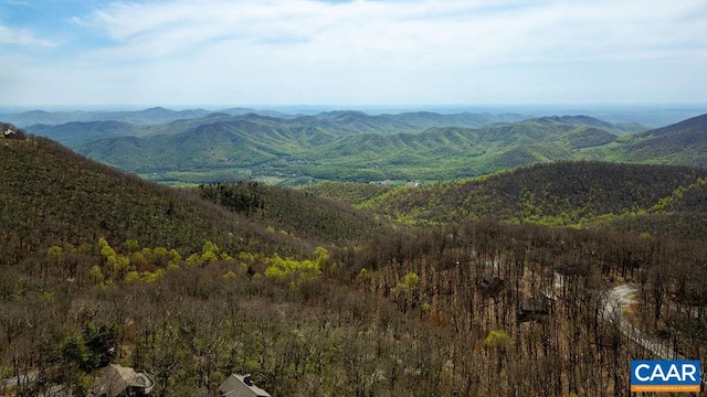 view of mountain feature