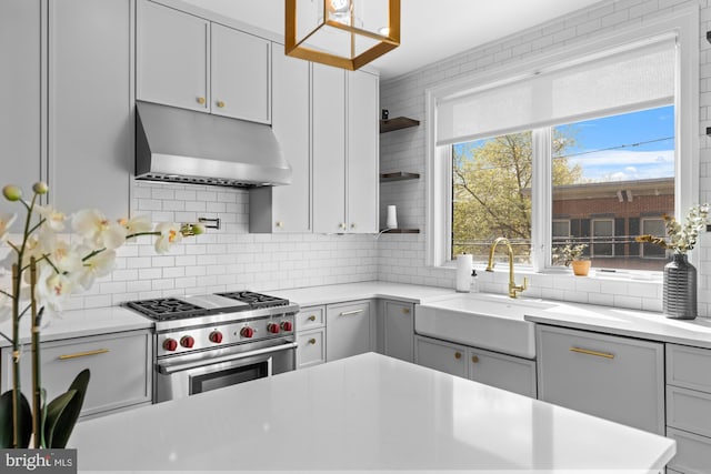 kitchen featuring tasteful backsplash, designer stove, and sink