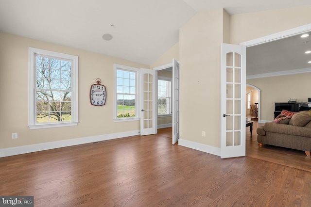 interior space featuring french doors, dark hardwood / wood-style floors, vaulted ceiling, and a wealth of natural light