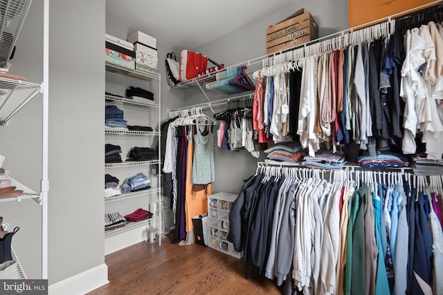 walk in closet with hardwood / wood-style flooring