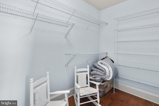 walk in closet with hardwood / wood-style flooring