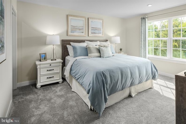 bedroom with carpet floors