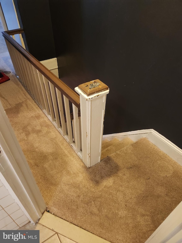 staircase featuring carpet floors