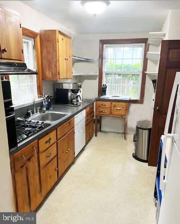 kitchen featuring sink, black gas cooktop, and dishwasher