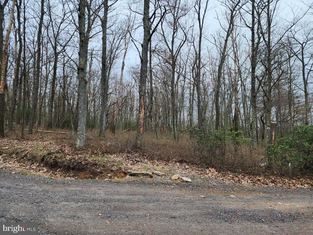 0 Chamonix, Zion Grove PA, 17985 land for sale