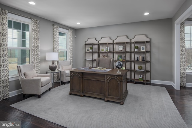 office featuring dark hardwood / wood-style flooring