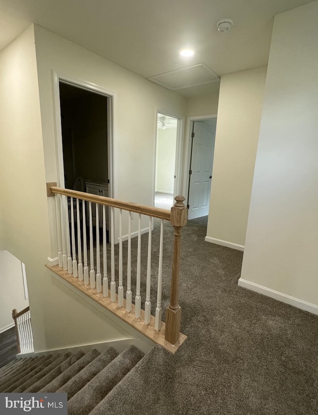 corridor featuring carpet flooring