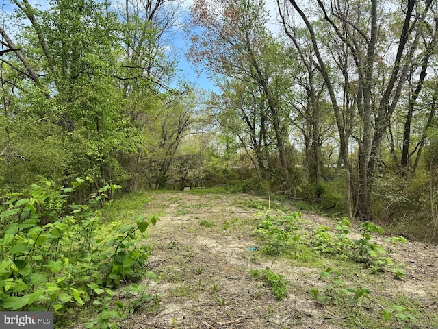 view of landscape