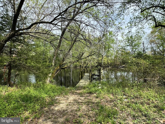 view of landscape with a water view