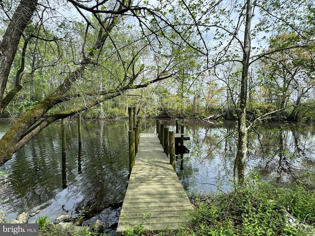 view of dock with a water view