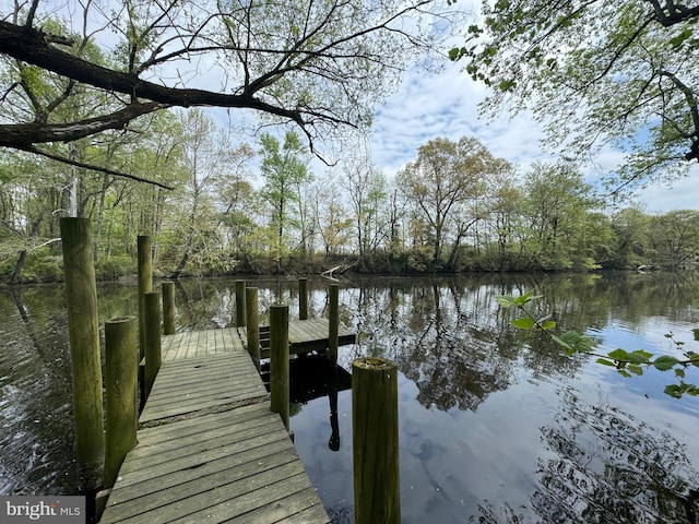 view of dock with a water view