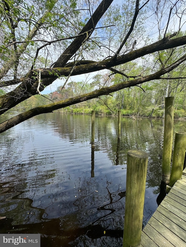 view of dock with a water view