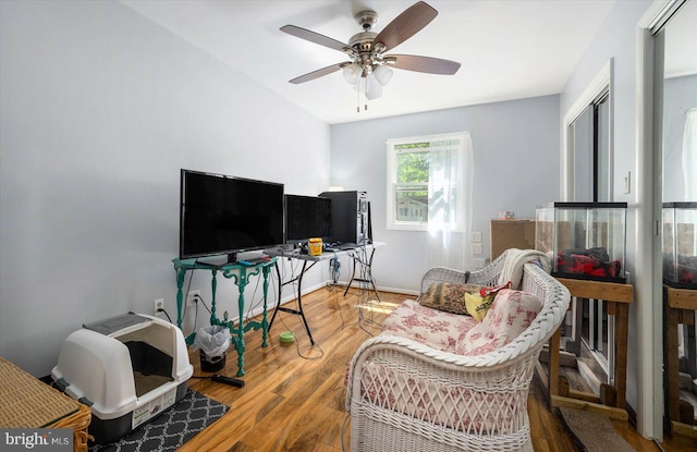 living room with hardwood / wood-style floors and ceiling fan