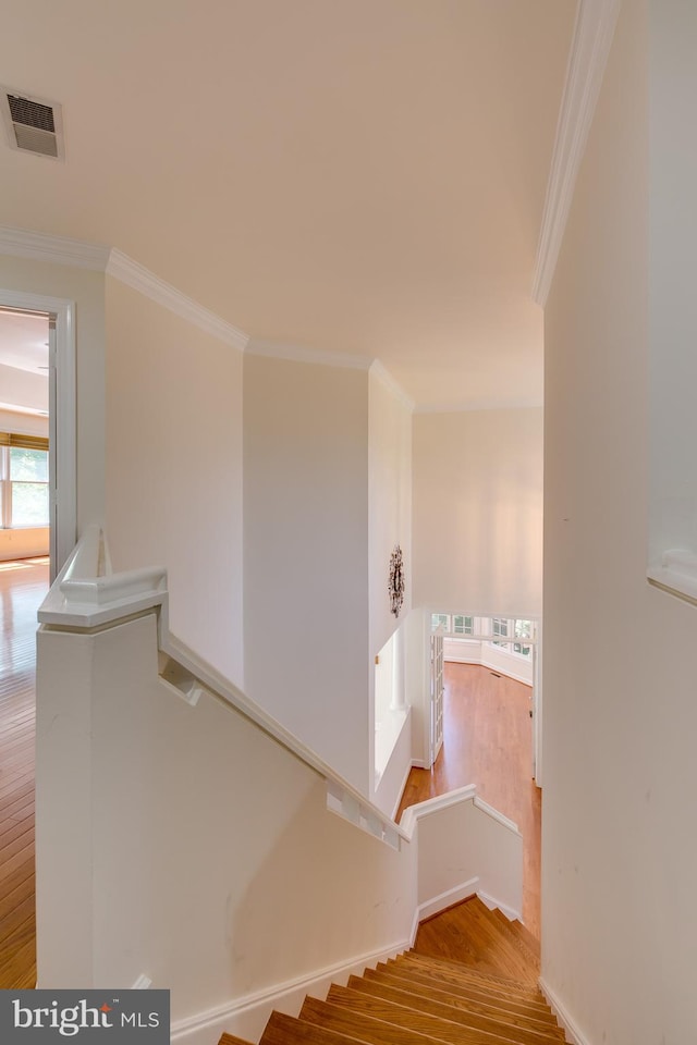 stairway featuring crown molding and light wood-type flooring