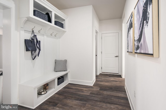 mudroom featuring dark wood-type flooring