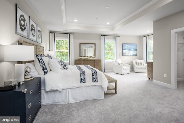 carpeted bedroom featuring a tray ceiling