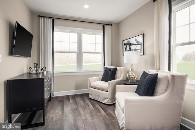 sitting room featuring dark hardwood / wood-style floors