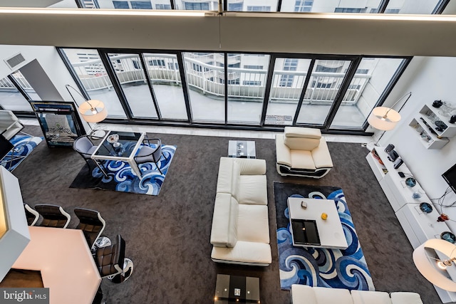 interior space featuring carpet and a high ceiling