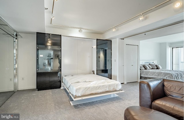 carpeted bedroom featuring rail lighting