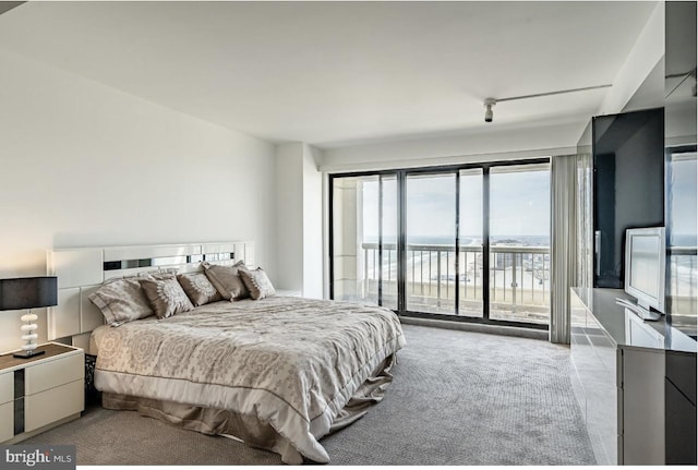 carpeted bedroom featuring a water view and access to exterior