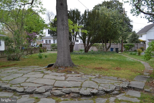 view of yard featuring a patio