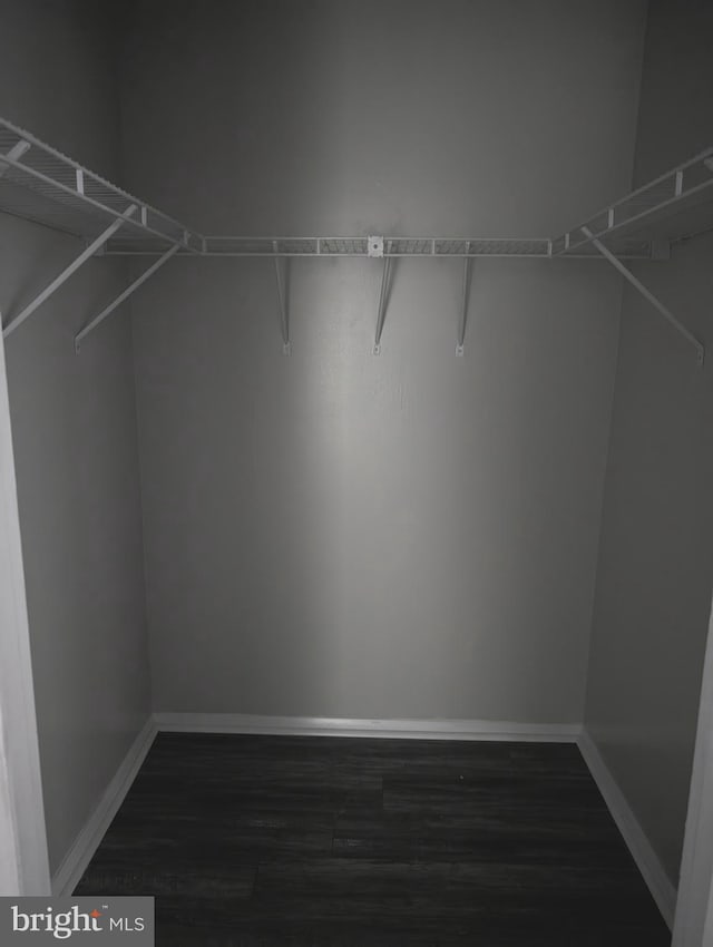 spacious closet with dark hardwood / wood-style flooring