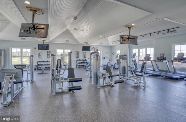 gym featuring ceiling fan and a healthy amount of sunlight