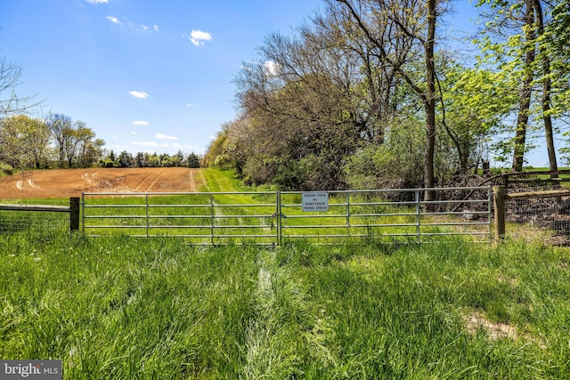 view of yard featuring a rural view