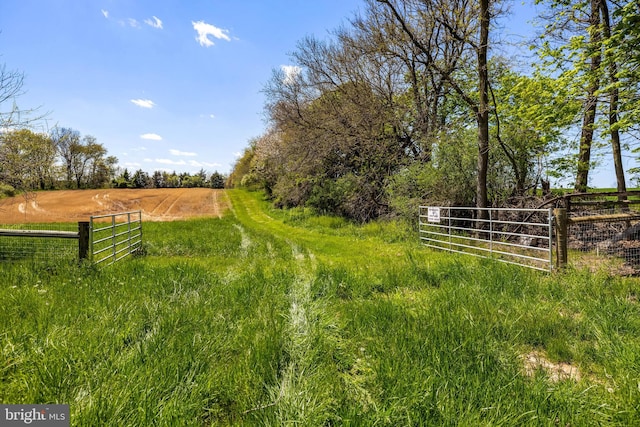 view of yard with a rural view