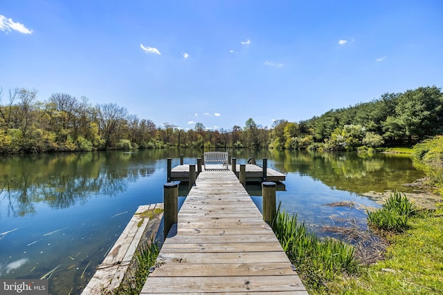 view of dock with a water view