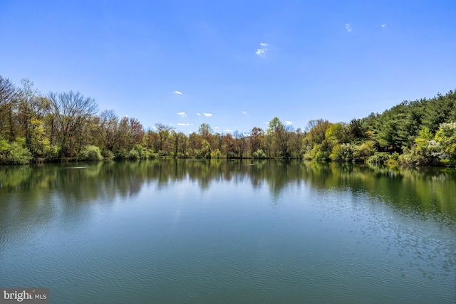 view of water feature