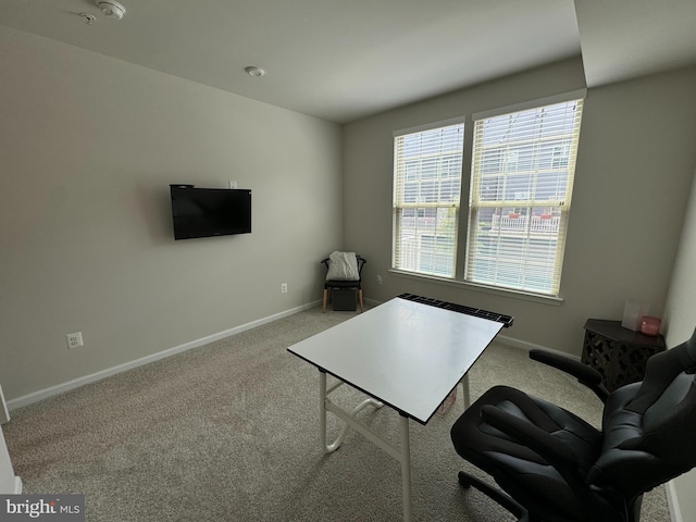 interior space with baseboards and carpet