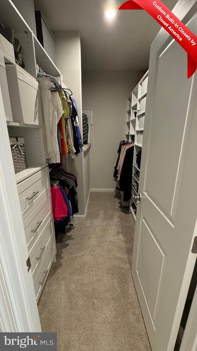 walk in closet featuring light carpet