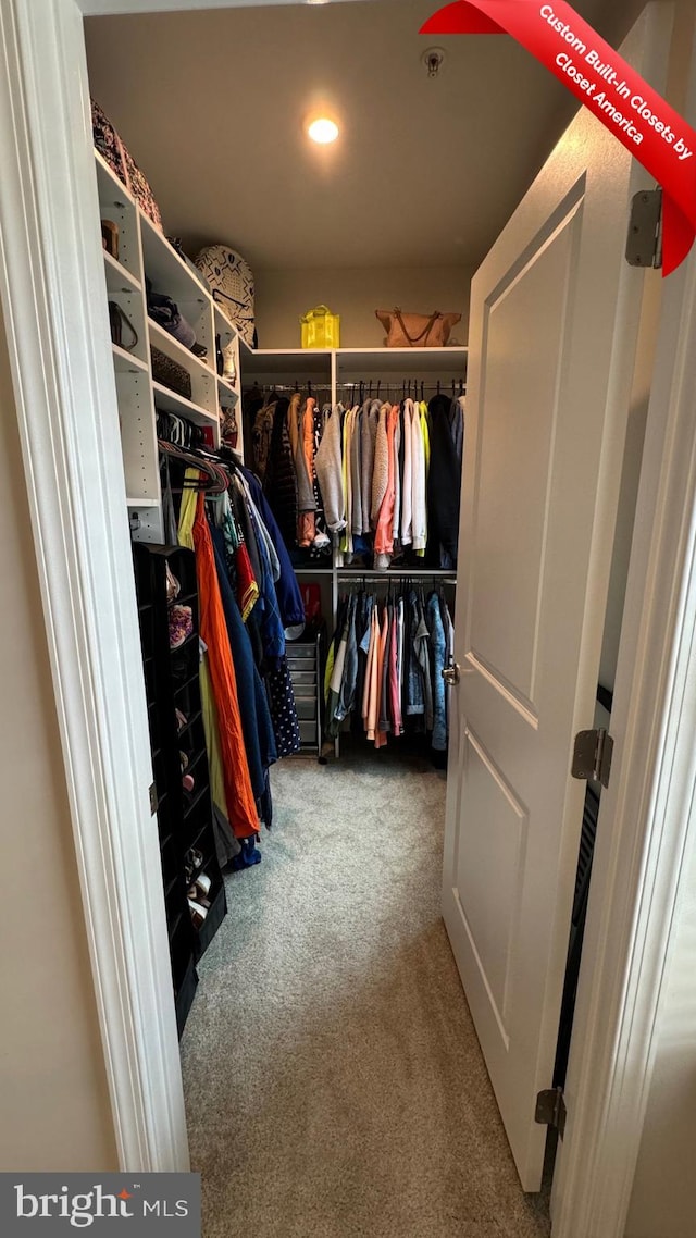 spacious closet with carpet