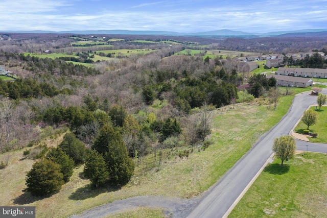 Listing photo 3 for TBD Signal Knob, Strasburg VA 22657