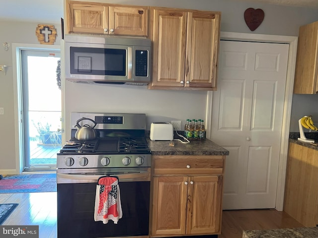 kitchen with appliances with stainless steel finishes, plenty of natural light, and wood-type flooring